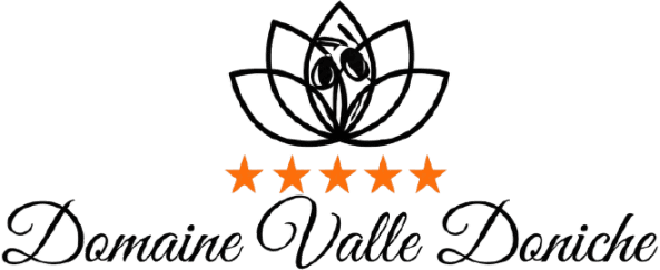 Domaine Valledoniche logo