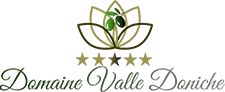Logo Domaine Valle Doniche
